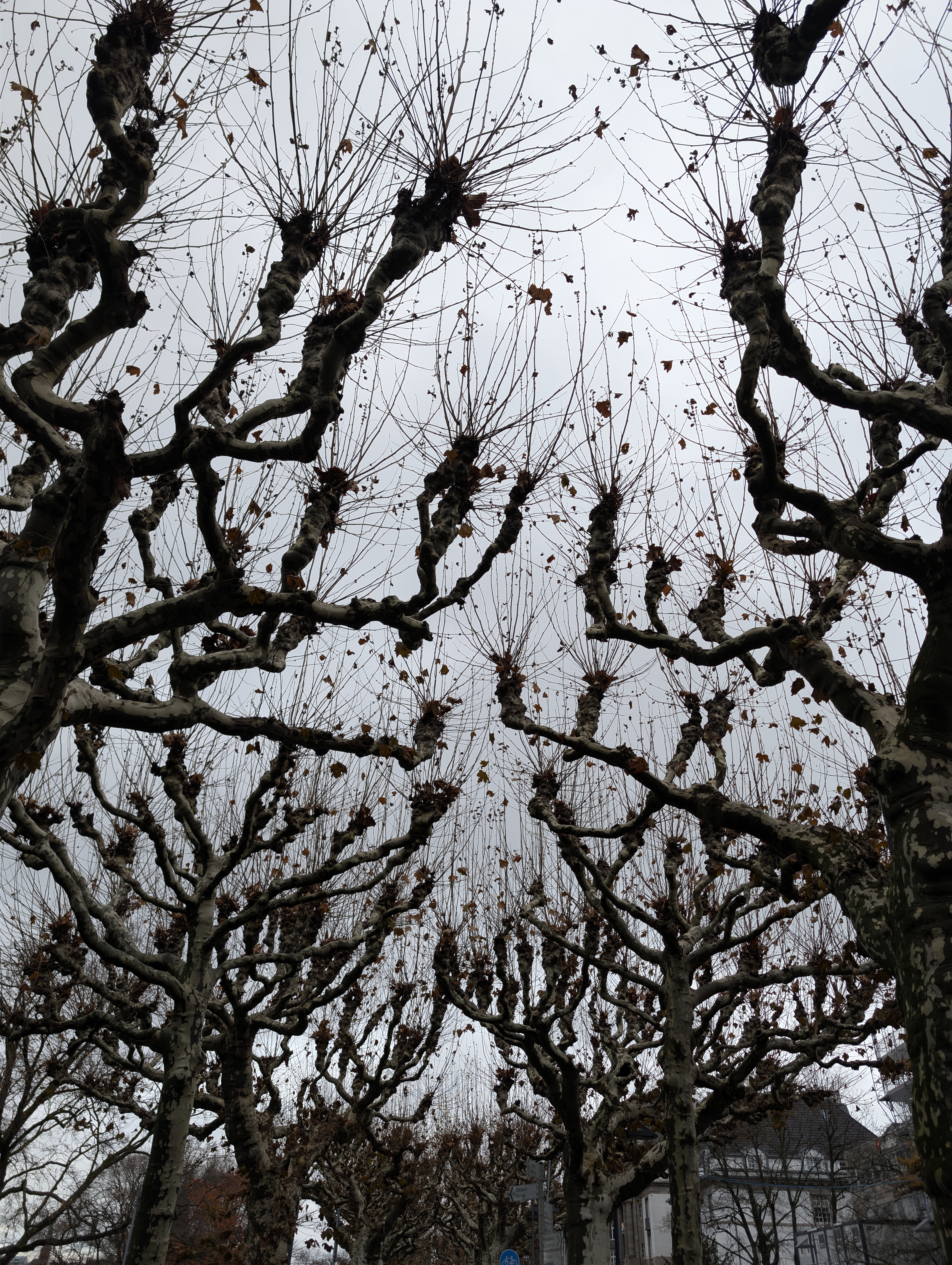 luxembourg - Photo 5