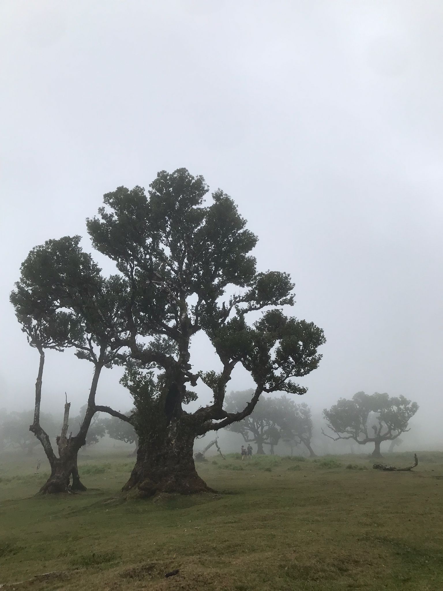 portugal - Photo 15